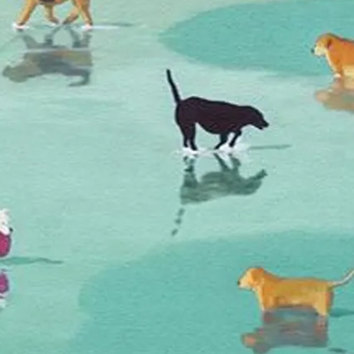 Paws At Tide – Minimalist Beach Oil Painting, view 3