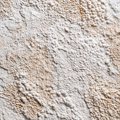 Terra Veil – Wabi-Sabi Celestial Oil Painting, view 3