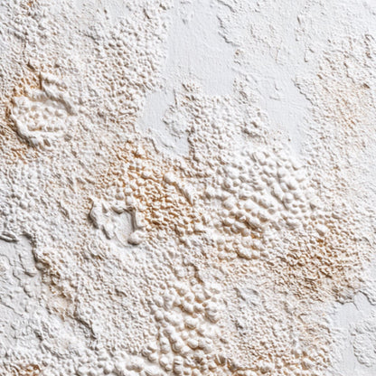 Terra Veil – Wabi-Sabi Celestial Oil Painting, view 5