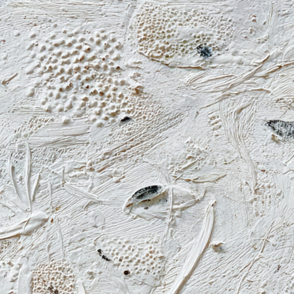 Tidal Relics – Wabi-Sabi Tidal Acrylic Painting, view 5