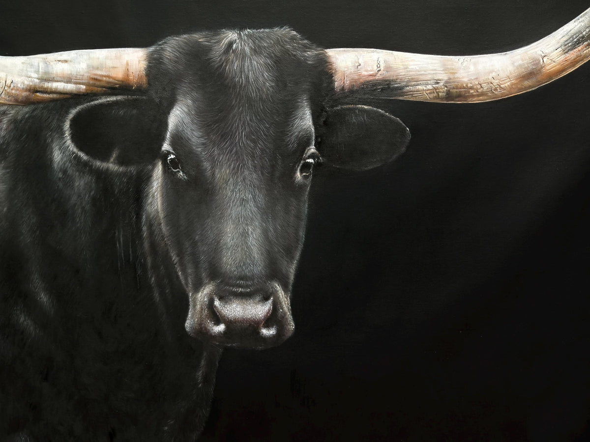 May include: A detailed portrait of a black bull against a dark background. The bull's face is in sharp focus, highlighting its dark fur, pink nose, and expressive eyes. Its large, curved horns are a light brown color.