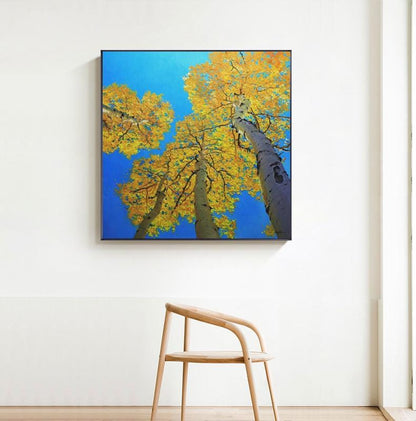 Abstract Birch Canvas Wall Art, Large Original Trees Oil Painting on Canvas, Modern Autumn Landscape Wall Art for Living Room, Bedroom Décor