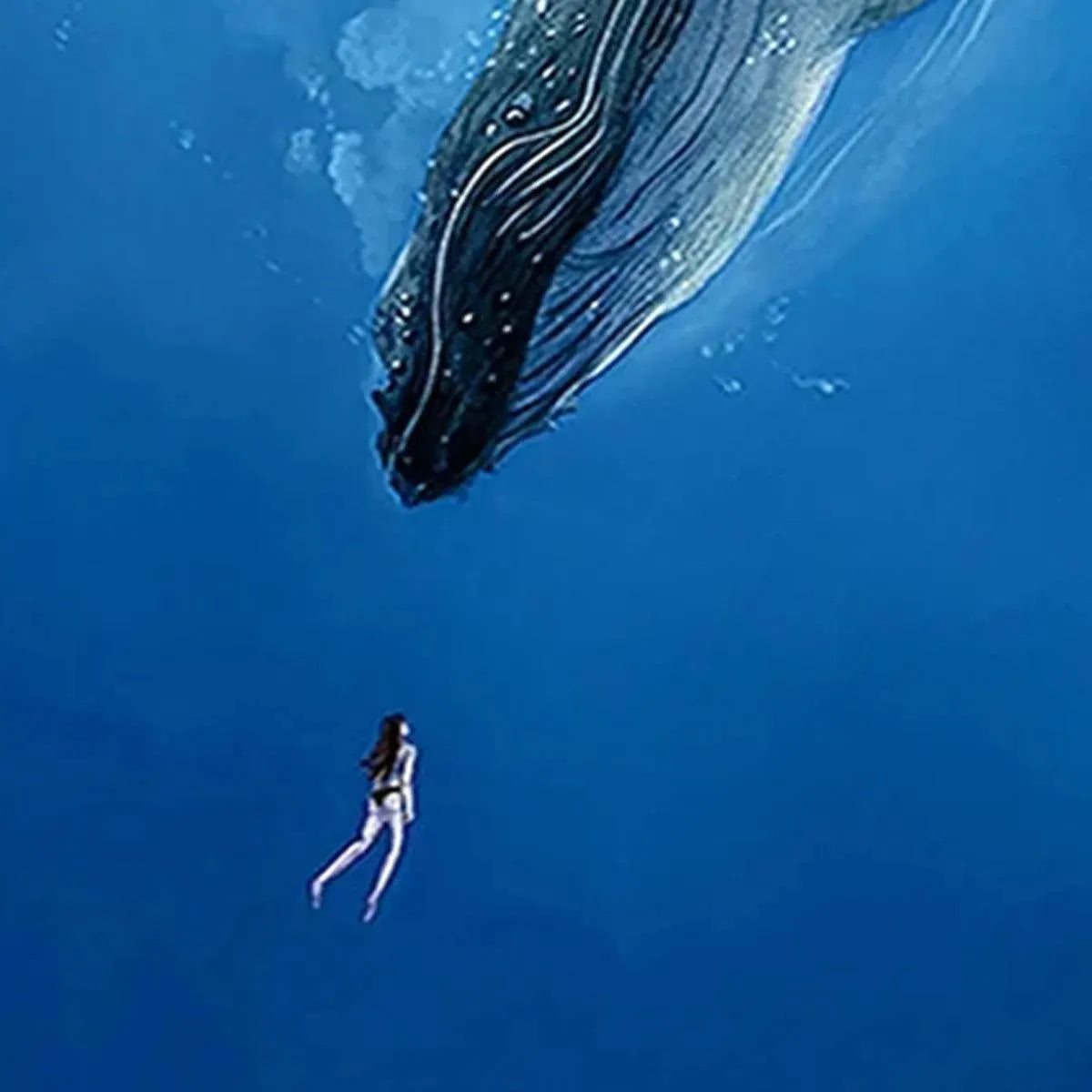 Blue Underwater Oil Painting – Whale Encounter